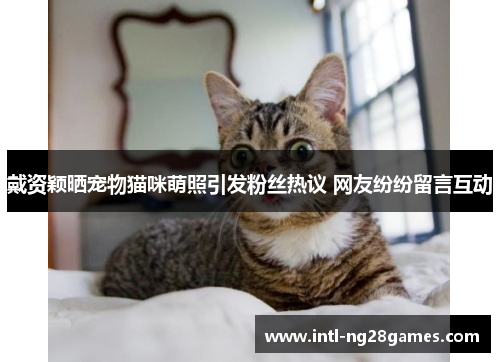 戴资颖晒宠物猫咪萌照引发粉丝热议 网友纷纷留言互动