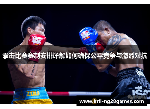 拳击比赛赛制安排详解如何确保公平竞争与激烈对抗